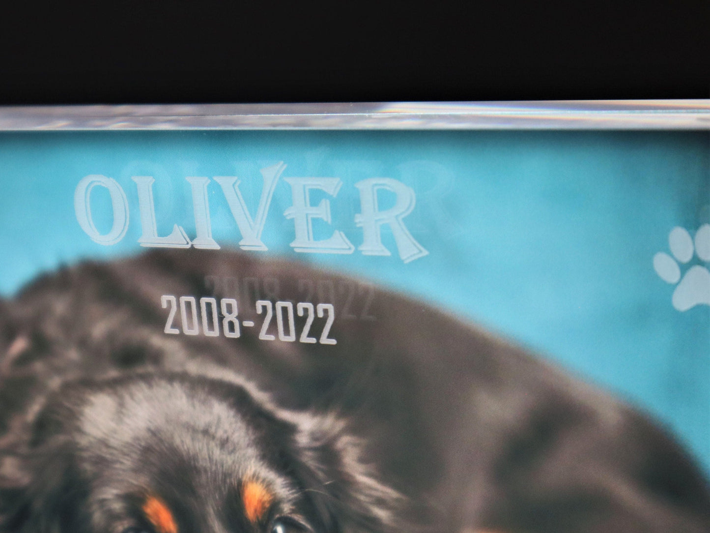 Pet Memorial Crystal Acrylic Magnetic Desktop Picture Frame with your Photo Insert size 4x6 5x7 6x8 8x10 Dog Cat Horse Rabbit Lizard Bird