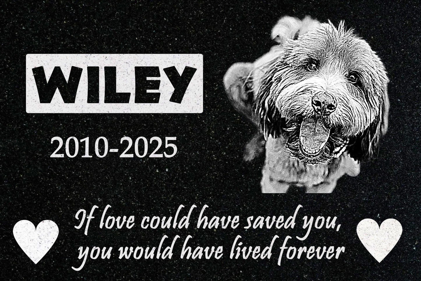 Pet Memorial Picture Stone Cat Dog, Personalized Laser Engraved Dog Cat Memorial with Image, Granite Stone Pet Grave, Granite Pet Headstone